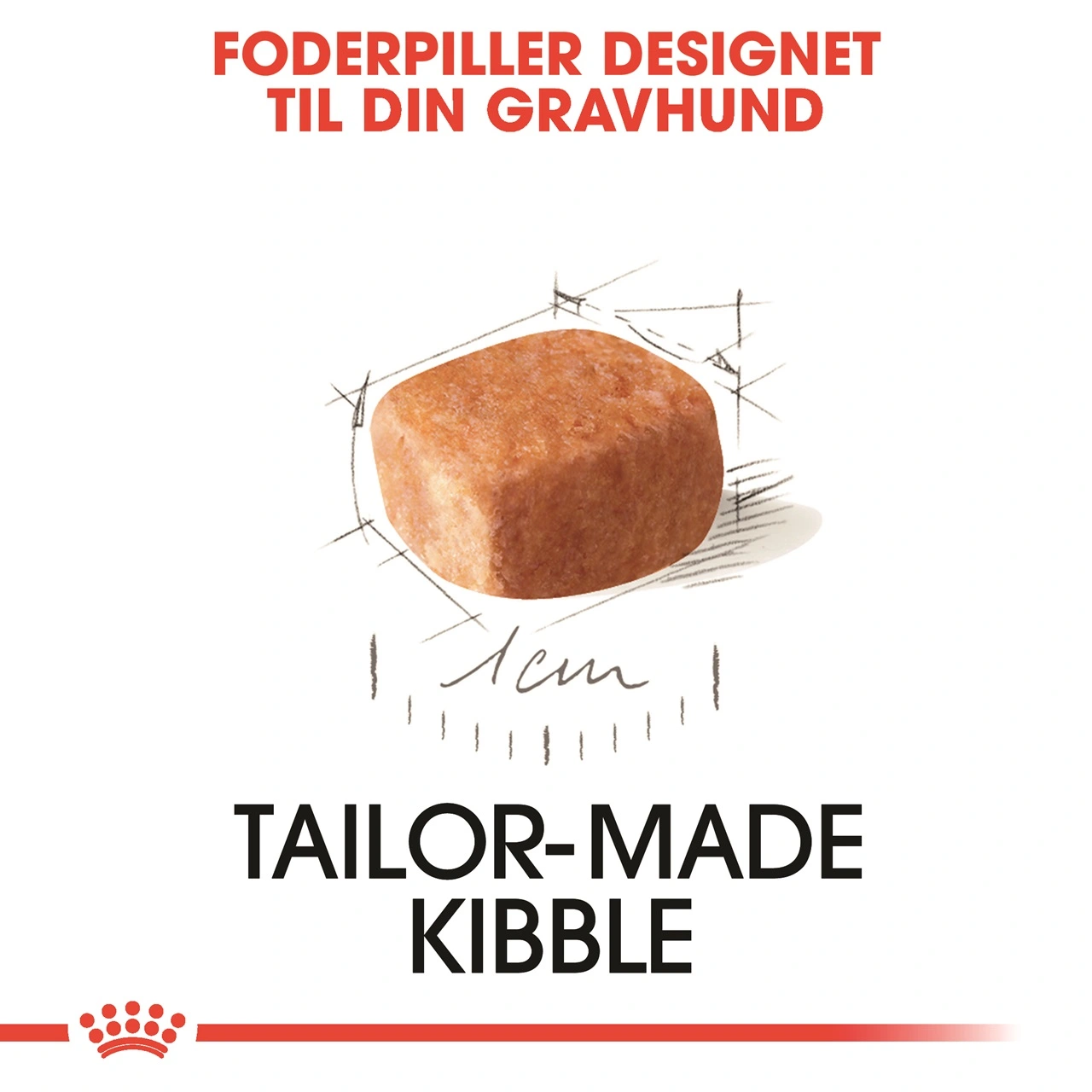 Royal Canin Dachshund Puppy 1,5 kg - tørfoder til Gravhund hvalpe